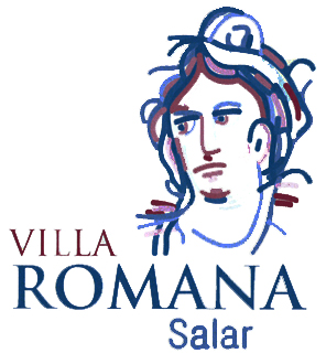 Link Web Villa Romana Salar